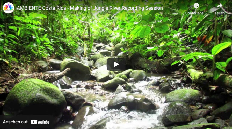 Behind the Scenes Again – Jungle Recordings Costa Rica